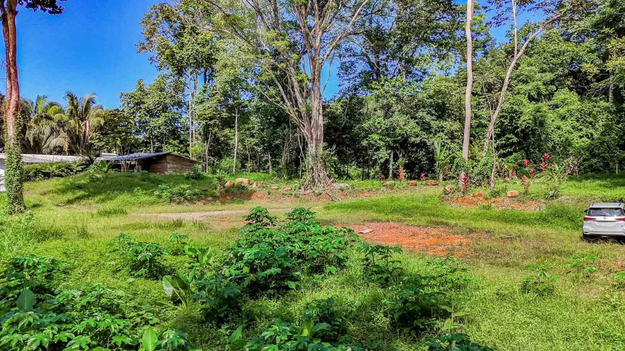 BUILDING PROPERTY WITH ROAD TO THE RIVER, IN VENTANAS – 1.64 ACRES, photo 15