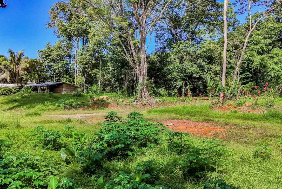 BUILDING PROPERTY WITH ROAD TO THE RIVER, IN VENTANAS – 1.64 ACRES, photo 16