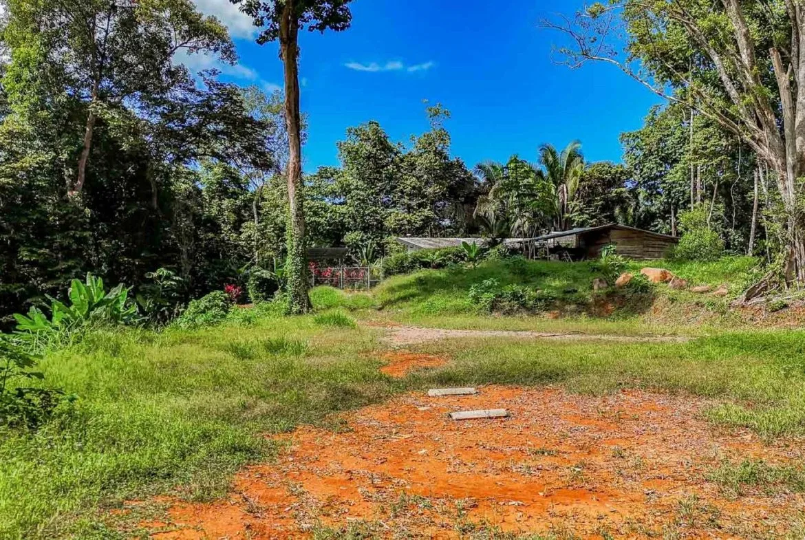 BUILDING PROPERTY WITH ROAD TO THE RIVER, IN VENTANAS – 1.64 ACRES, photo 18