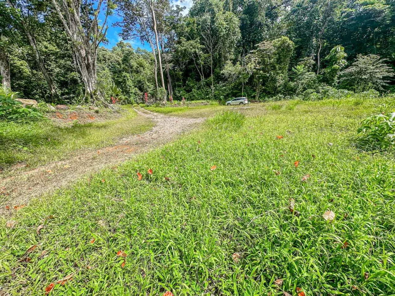BUILDING PROPERTY WITH ROAD TO THE RIVER, IN VENTANAS – 1.64 ACRES, photo 21