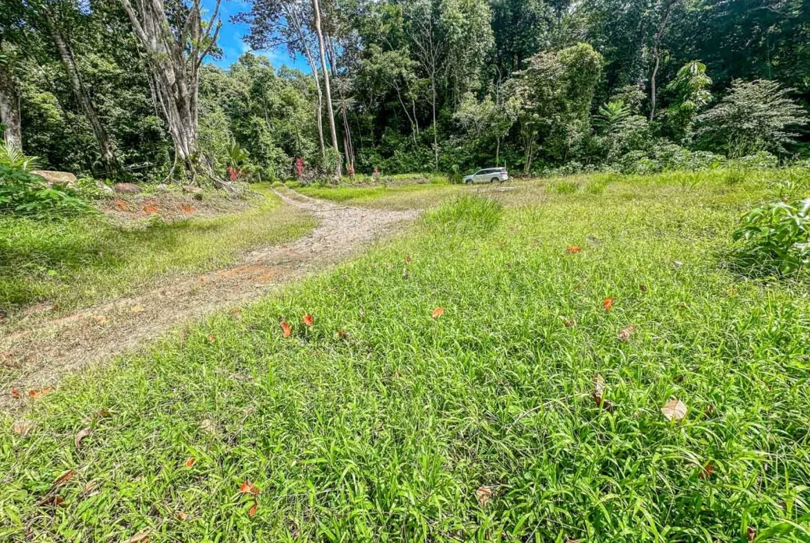 BUILDING PROPERTY WITH ROAD TO THE RIVER, IN VENTANAS – 1.64 ACRES, photo 22