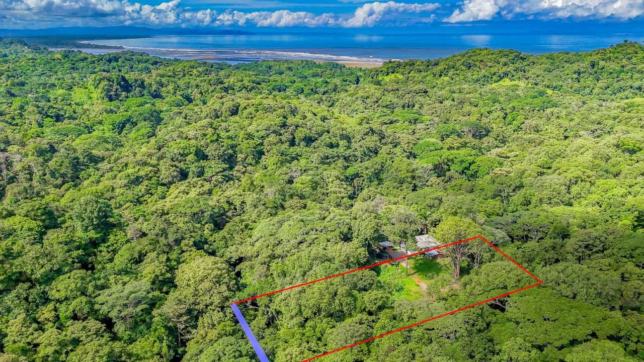 BUILDING PROPERTY WITH ROAD TO THE RIVER, IN VENTANAS – 1.64 ACRES, photo 5