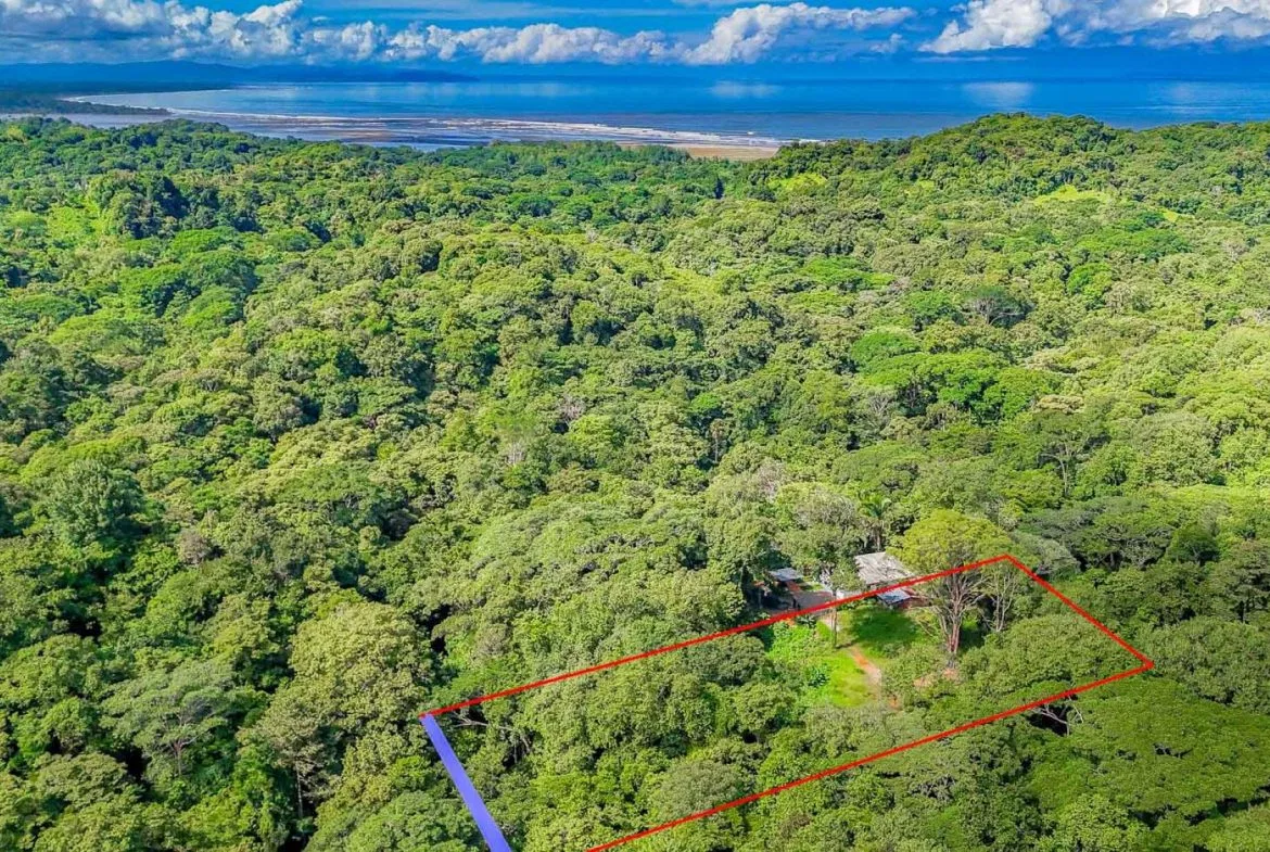 BUILDING PROPERTY WITH ROAD TO THE RIVER, IN VENTANAS – 1.64 ACRES, photo 6