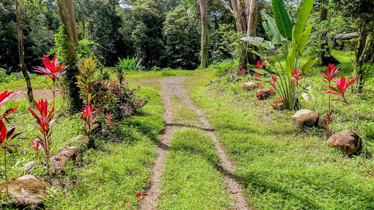 BUILDING PROPERTY WITH ROAD TO THE RIVER, IN VENTANAS – 1.64 ACRES, photo 7