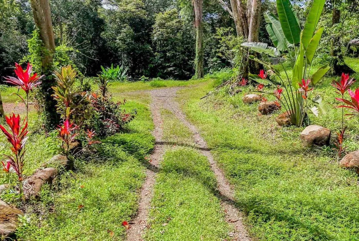 BUILDING PROPERTY WITH ROAD TO THE RIVER, IN VENTANAS – 1.64 ACRES, photo 8