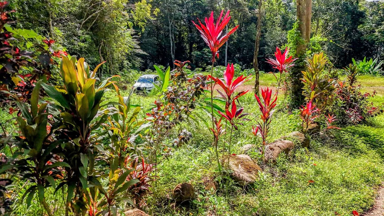 BUILDING PROPERTY WITH ROAD TO THE RIVER, IN VENTANAS – 1.64 ACRES, photo 9