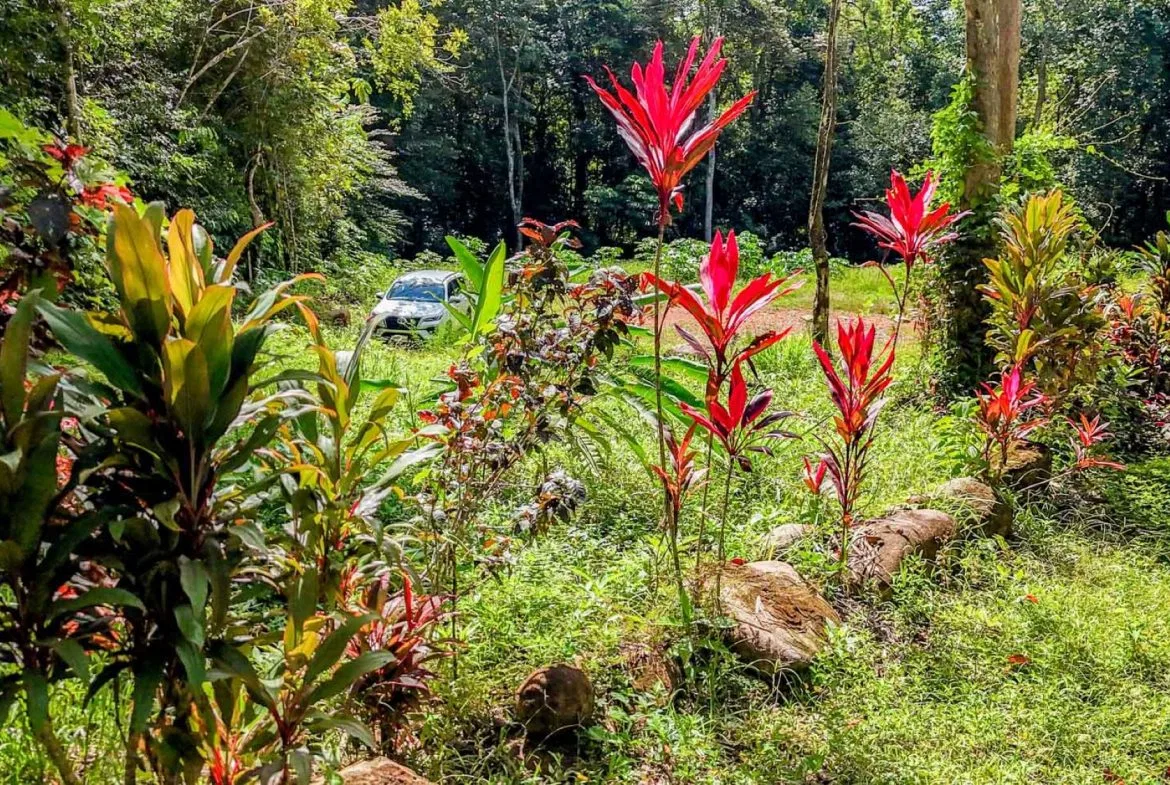 BUILDING PROPERTY WITH ROAD TO THE RIVER, IN VENTANAS – 1.64 ACRES, photo 10