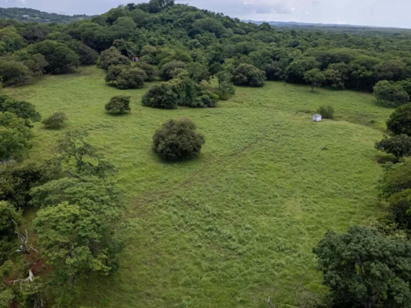 Land For Sale in Avellanas, photo 2