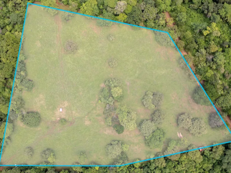 Land For Sale in Avellanas, photo 11