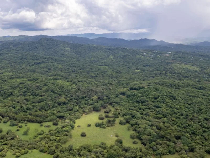 Land For Sale in Avellanas, photo 13