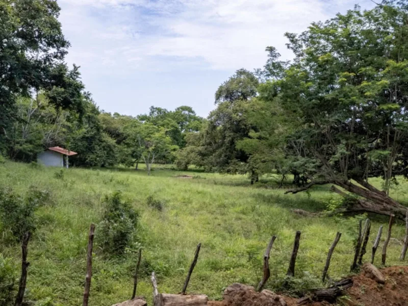 Land For Sale in Avellanas, photo 3