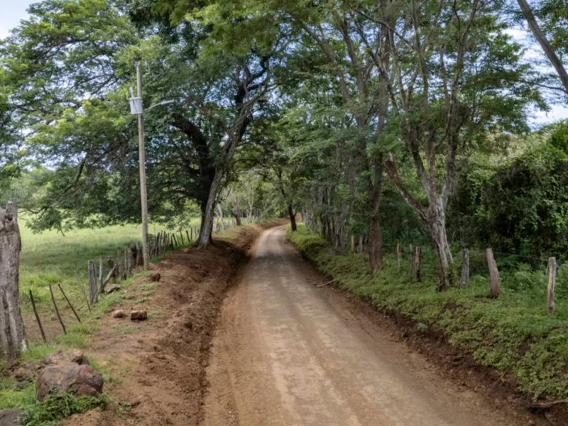 Land For Sale in Avellanas, photo 4