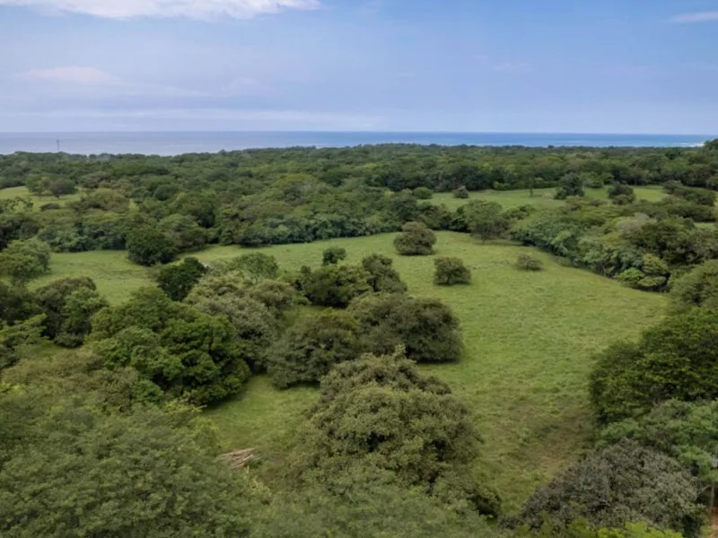 Land For Sale in Avellanas, photo 5