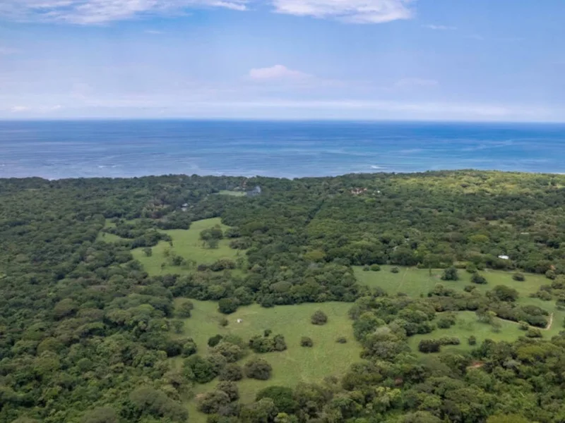 Land For Sale in Avellanas, photo 6