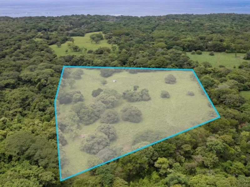 Land For Sale in Avellanas, photo 7