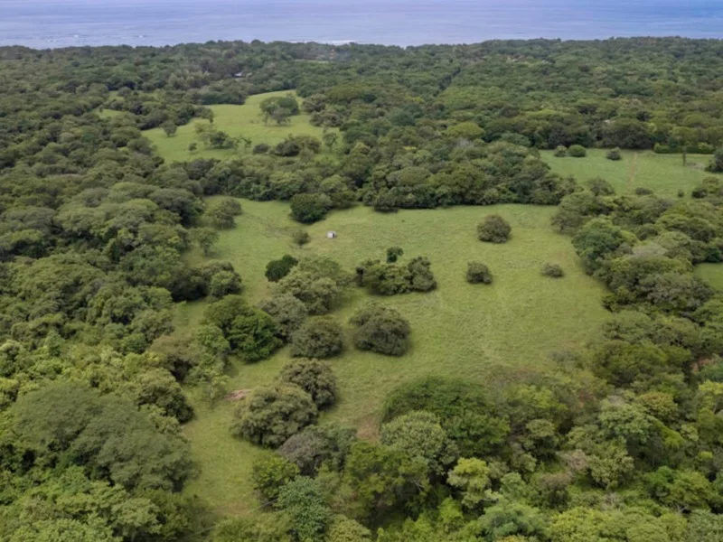 Land For Sale in Avellanas, photo 8