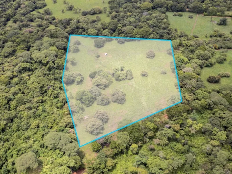 Land For Sale in Avellanas, photo 9