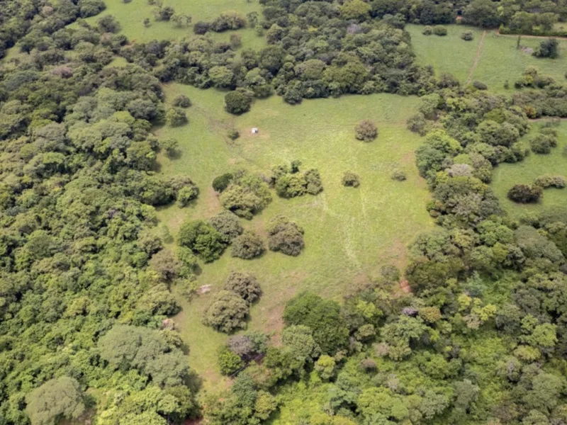 Land For Sale in Avellanas, photo 10