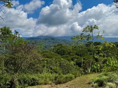 Nuevo lote de 1,4 acres en Platanillo – Con agua legal, photo 4