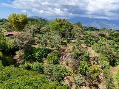 Nuevo lote de 1,4 acres en Platanillo – Con agua legal, photo 7