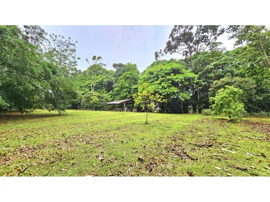 Venta de Lote en Guápiles, Limón.