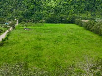 MÁS DE 12 HECTÁREAS DE TERRENO CERCA DE OJOCHAL, FRENTE A VÍA PÚBLICA, photo 8