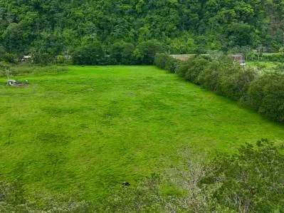 MÁS DE 12 HECTÁREAS DE TERRENO CERCA DE OJOCHAL, FRENTE A VÍA PÚBLICA, photo 9