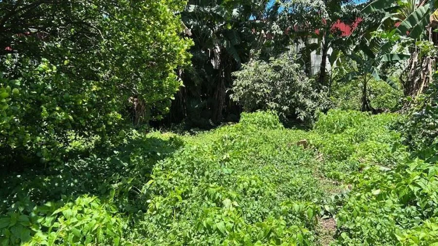 LOTE EN VENTA EN ZAPOTE, SAN JOSÉ RAH 24612  - Venta en Zapote