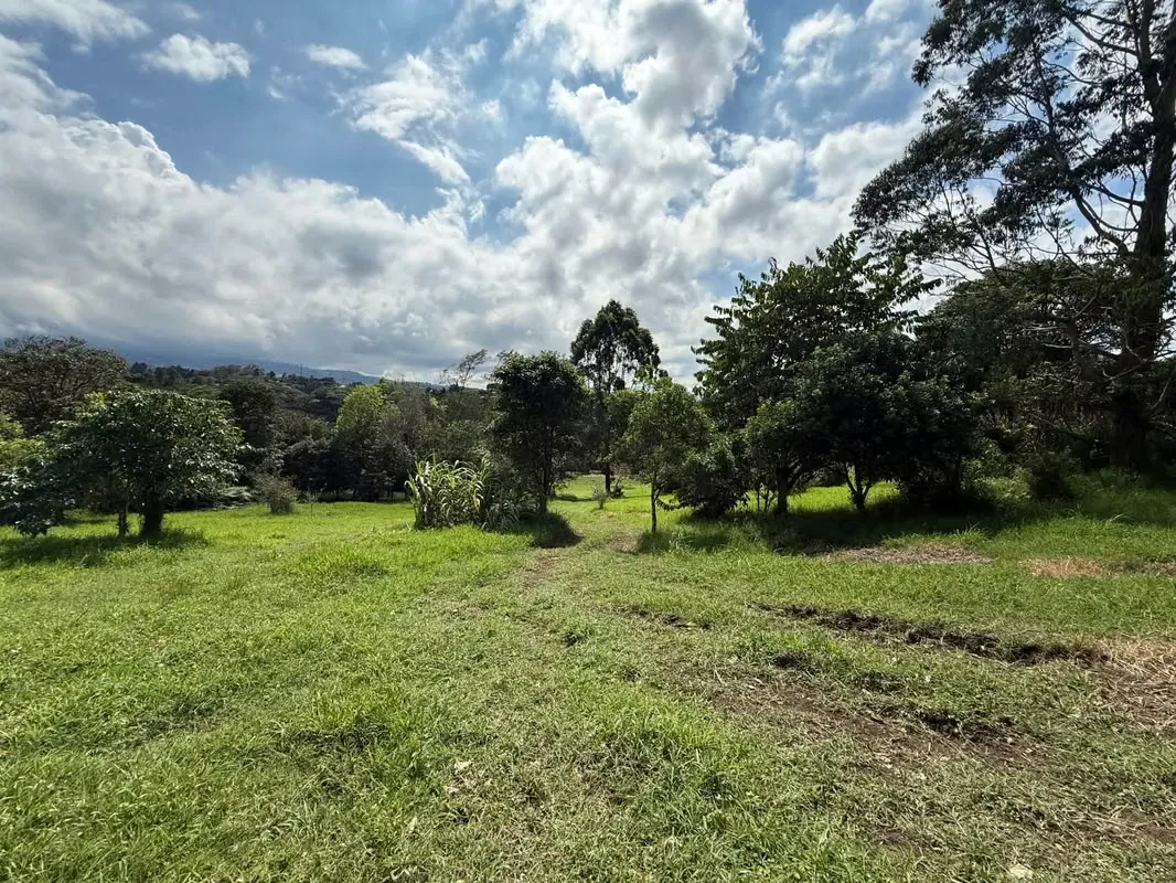 For Sale: Spacious and Mostly Flat Land in a Beautiful, photo 11