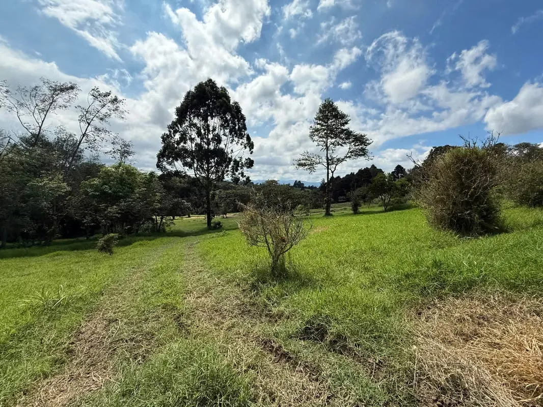 For Sale: Spacious and Mostly Flat Land in a Beautiful, photo 12