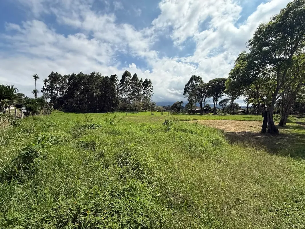 For Sale: Spacious and Mostly Flat Land in a Beautiful, photo 3