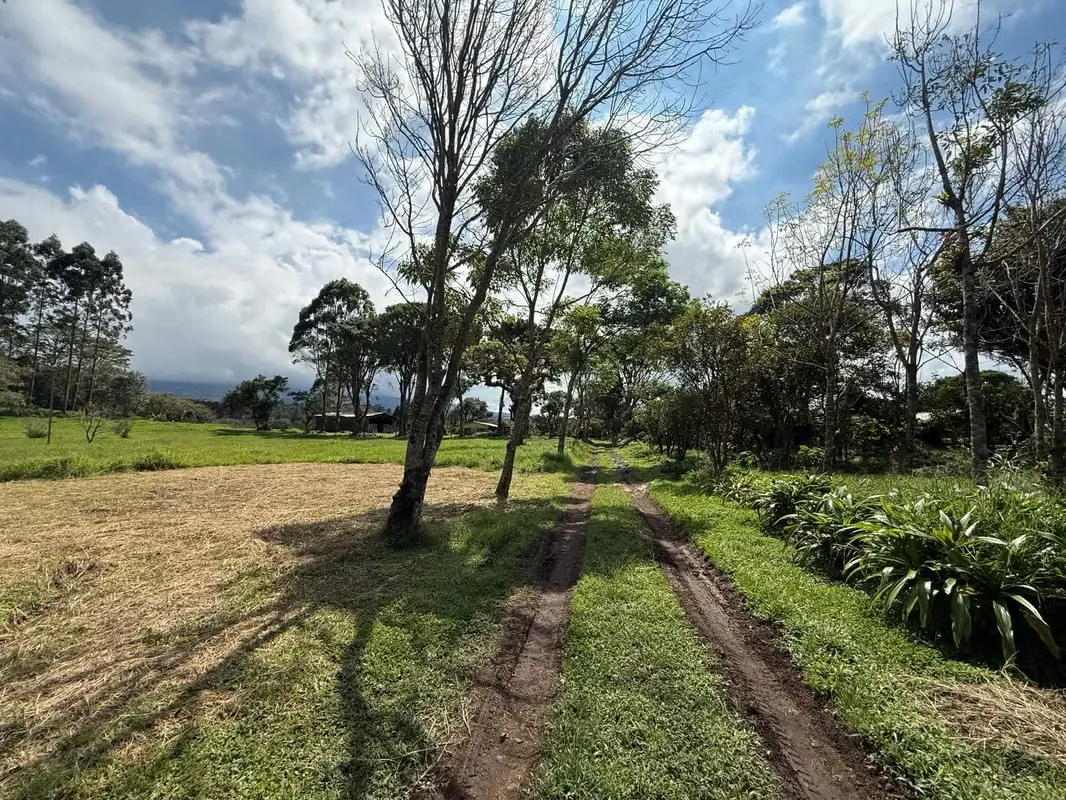 For Sale: Spacious and Mostly Flat Land in a Beautiful, photo 4