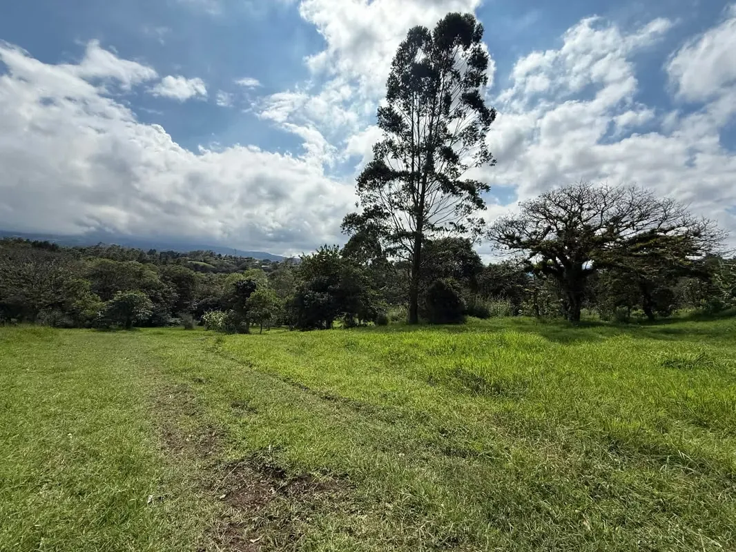 For Sale: Spacious and Mostly Flat Land in a Beautiful, photo 9