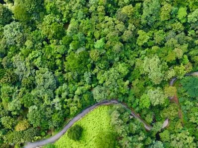 MOUNTAIN BUILDING PROPERTY WITH A CREEK, IN SAN JOSECITO – 5.9 ACRES, photo 31