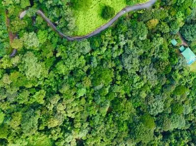MOUNTAIN BUILDING PROPERTY WITH A CREEK, IN SAN JOSECITO – 5.9 ACRES, photo 32