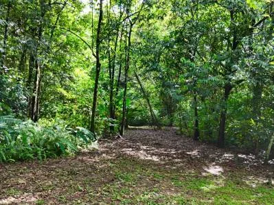 MOUNTAIN BUILDING PROPERTY WITH A CREEK, IN SAN JOSECITO – 5.9 ACRES, photo 35
