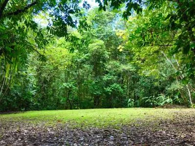 MOUNTAIN BUILDING PROPERTY WITH A CREEK, IN SAN JOSECITO – 5.9 ACRES, photo 36