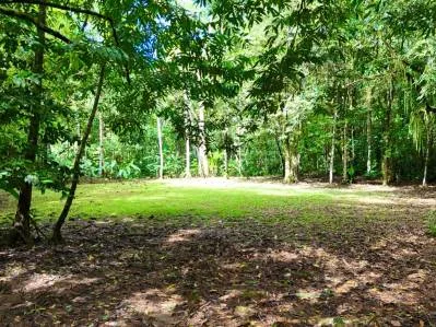 MOUNTAIN BUILDING PROPERTY WITH A CREEK, IN SAN JOSECITO – 5.9 ACRES, photo 37