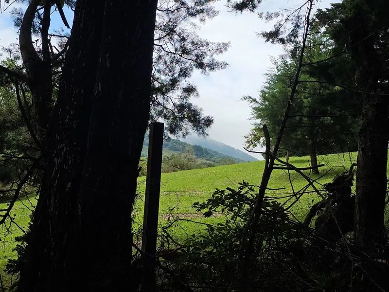 Land For Sale in Concepcion, photo 11