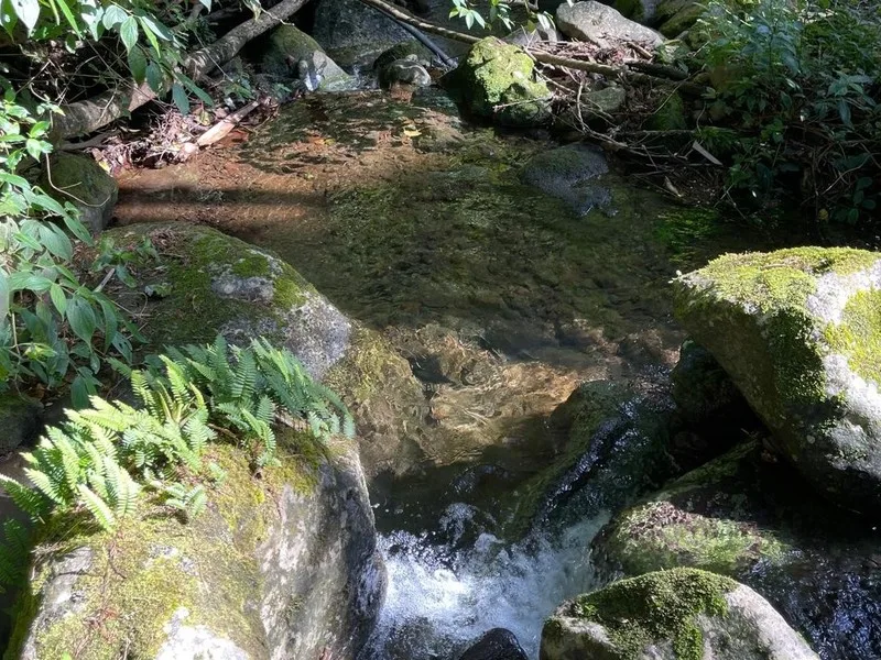 Land For Sale in Concepcion, photo 3