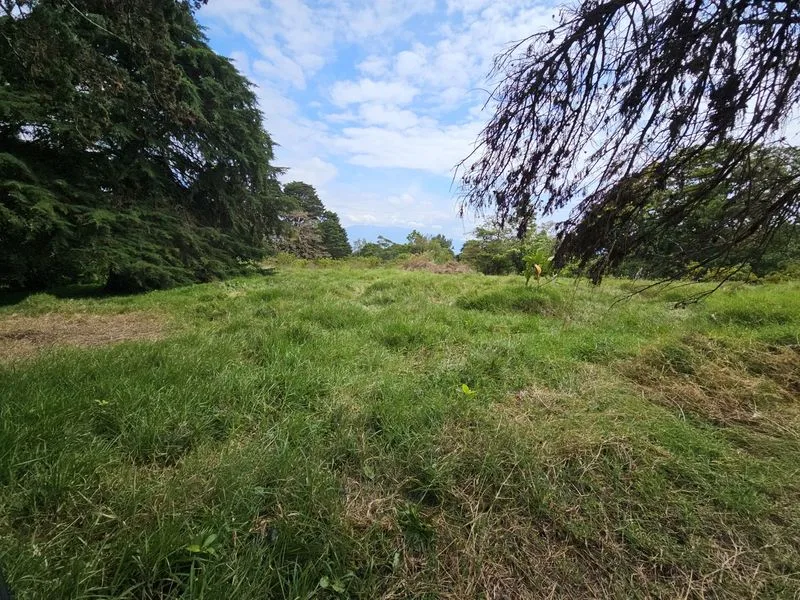 Land For Sale in Concepcion, photo 4