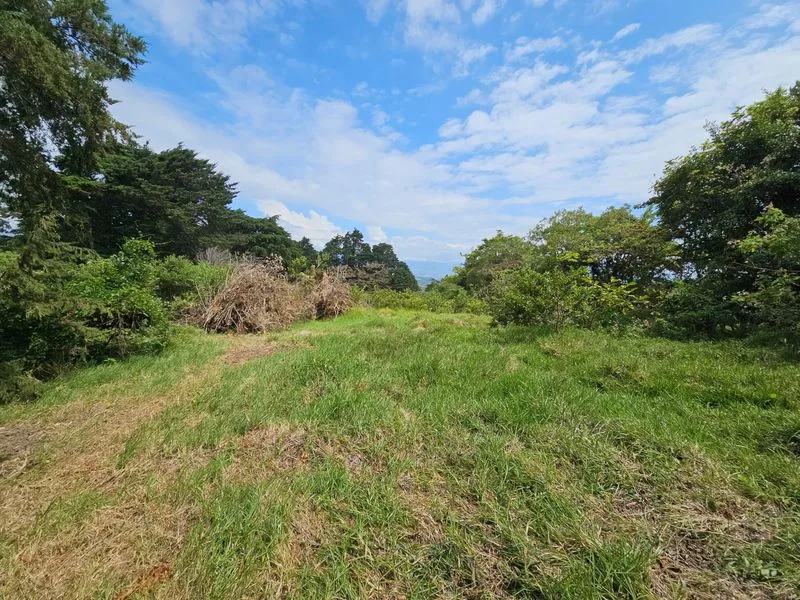 Land For Sale in Concepcion, photo 5