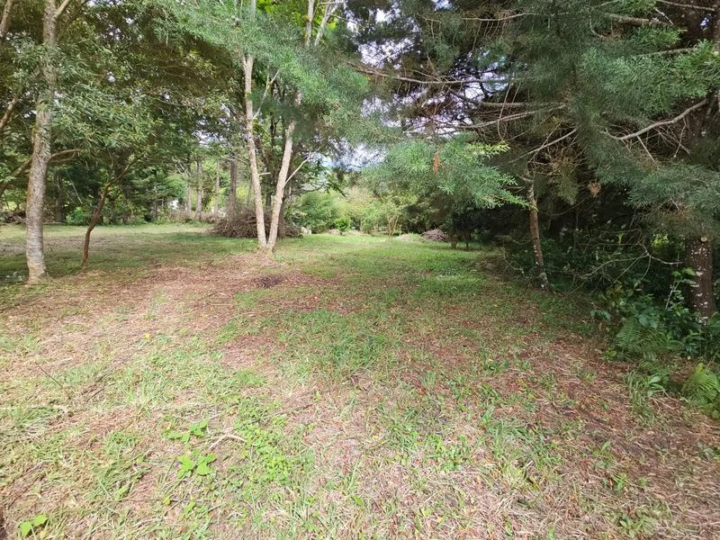 Land For Sale in Concepcion, photo 7