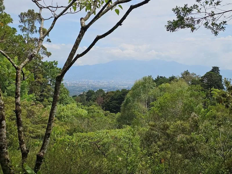 Land For Sale in Concepcion, photo 8