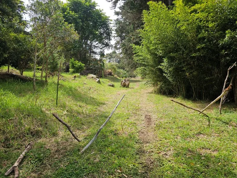 Land For Sale in Concepcion, photo 9