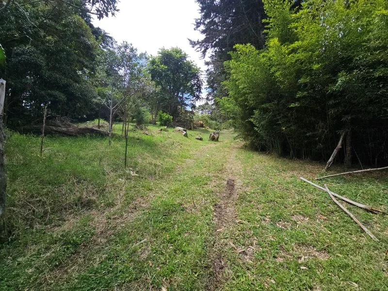 Land For Sale in Concepcion, photo 10
