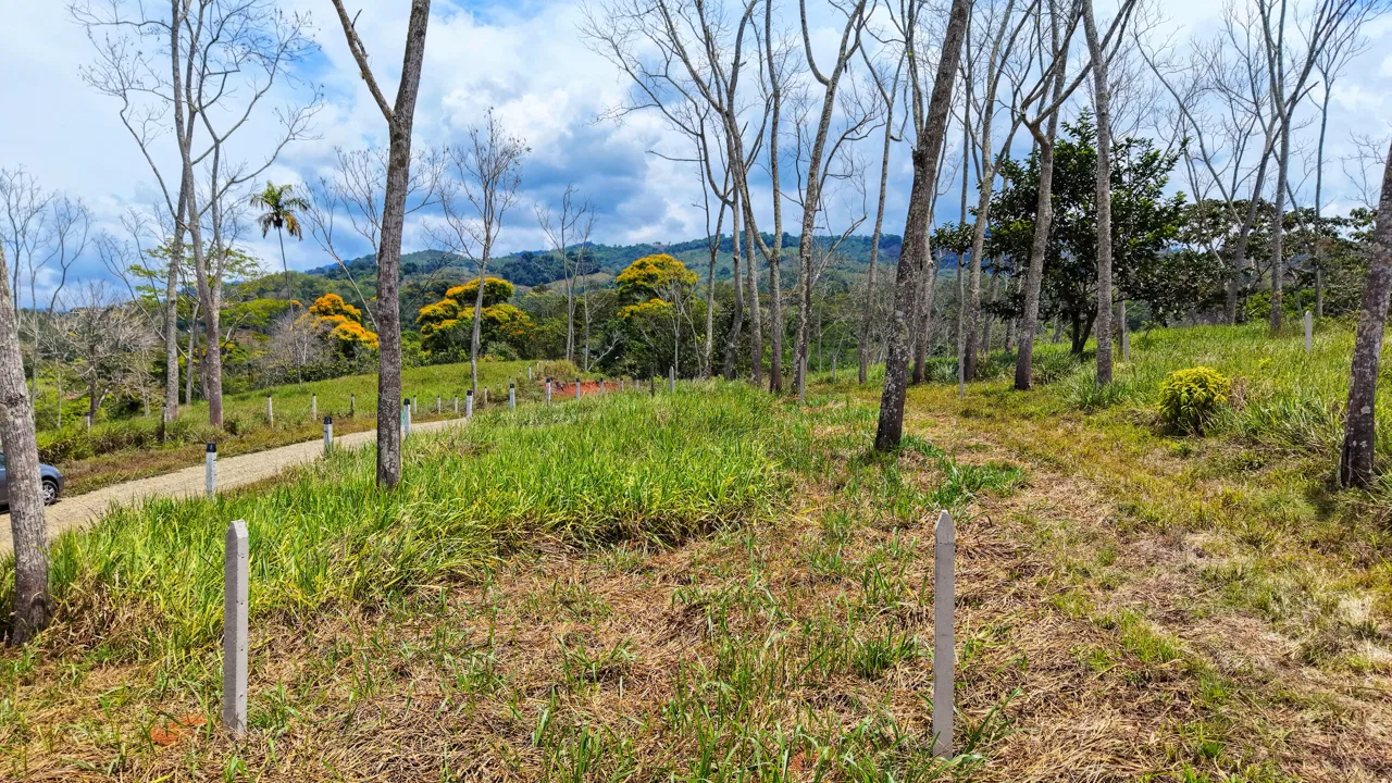 EN VENTA: LOTE LISTO PARA CONSTRUIR CON PRIVACIDAD EN SANTA ROSA, photo 3