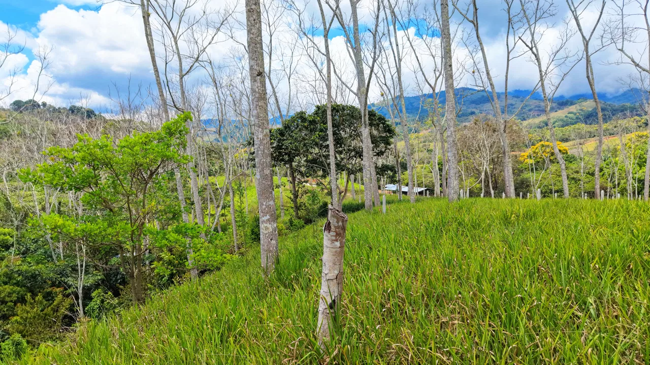 EN VENTA: LOTE LISTO PARA CONSTRUIR CON PRIVACIDAD EN SANTA ROSA, photo 4
