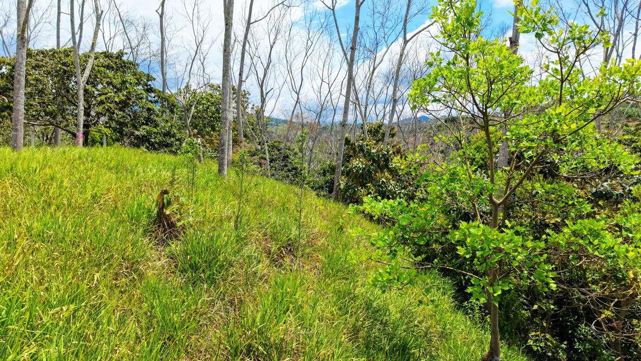 EN VENTA: LOTE LISTO PARA CONSTRUIR CON PRIVACIDAD EN SANTA ROSA, photo 5