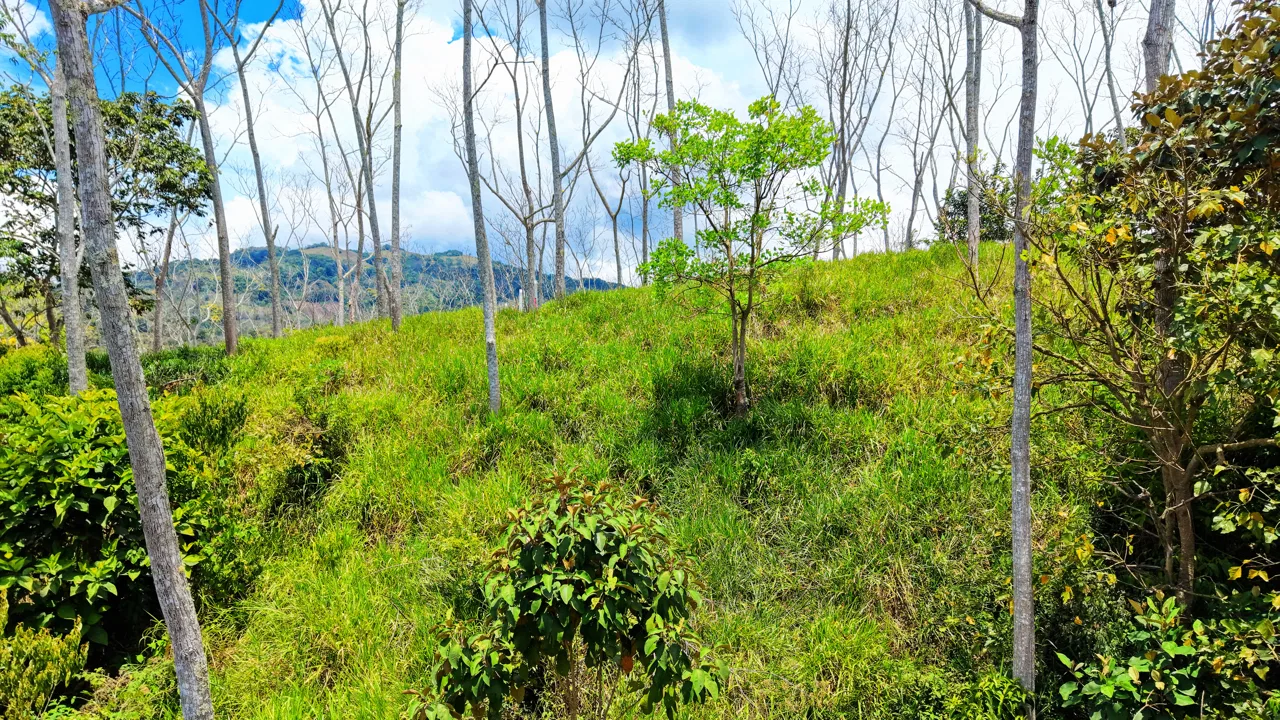 EN VENTA: LOTE LISTO PARA CONSTRUIR CON PRIVACIDAD EN SANTA ROSA, photo 6